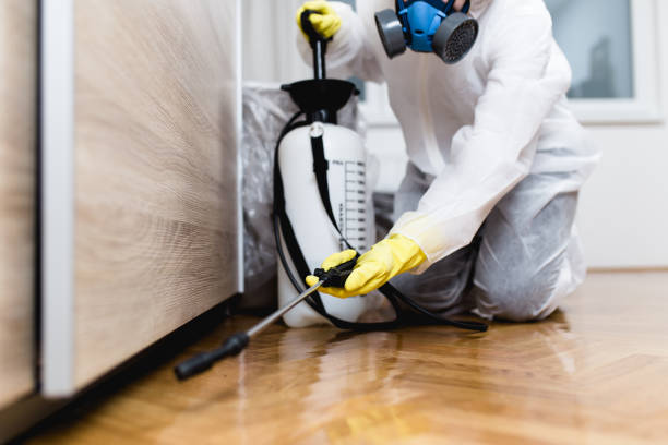 Best Best Pest Control Companies  in Refugio, TX