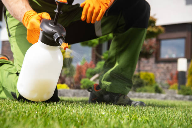 Professional Pest Control in Refugio, TX