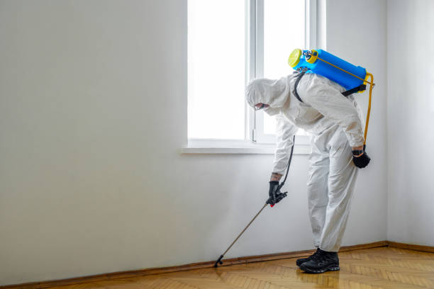 Best Pest Prevention Services  in Refugio, TX