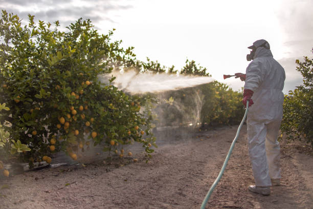 Best Exterminator Services  in Refugio, TX