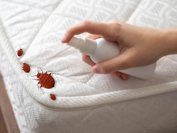Best Flea Control Services  in Refugio, TX