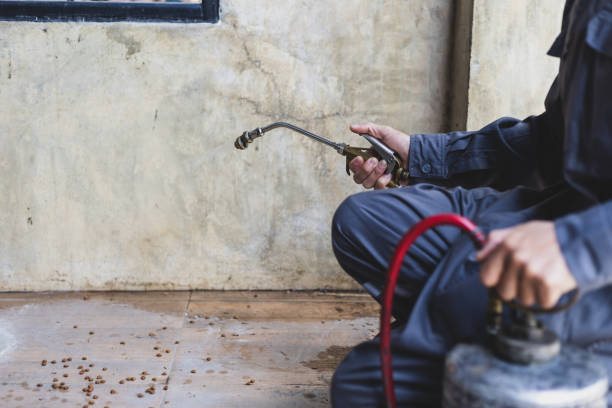 Best Local Pest Control Services  in Refugio, TX